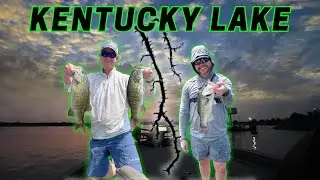 KENTUCKY LAKE BASS FISHING - Deep Cranking Summer Ledges