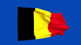 Belgium Flag blue screen | green screen | chroma key (FREE USE)