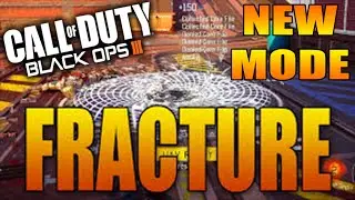 Fracture 