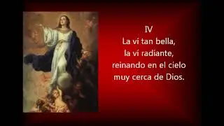 Los rosales en flor.