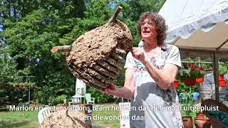 De strijd tegen de Aziatische hoornaar in Zeeuws-Vlaanderen