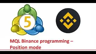 MQL Binance programming &ndash; Position mode