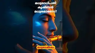 മധുരാഷ്ടക രഹസ്യം ഇതാ!,മധുരം തന്നെ ഭഗവാൻ | #Shorts #shortsfeed