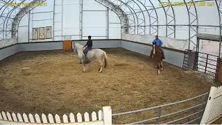 Goldy's Arena 652-717pm  Joint Training  Session Walace  Chester;Janine n Skye;ET Nick prest4262025