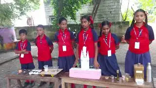 No Bag Day Celebrations | Adeeba Anjum | Solar System | Comfort School Kamanpur