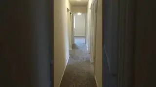 Brook Run video