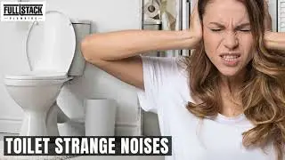 Signs of Toilet Plumbing Problem by Emergency Plumber Raleigh NC
