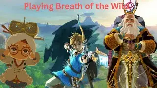 I played Breath of the wild for the first time