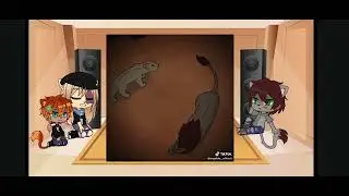 || Fire, Nothing and Feather reacts to themselves and Farleap || My Pride || Reaction video ||