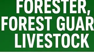 osssc forester forestguard li today high court case update know all the detail about high court case