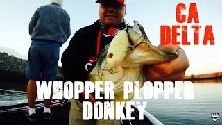 River2Sea Whopper Plopper. Topwater Bass Fishing California Delta. July 2015. Cast to Catch.