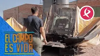 Todo a punto para comenzar la campaña en el olivar de los Mellis | El campo es vida