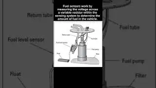 Fuel Level Sensor. #education #carcomponents #educationalvideo #car #engine #carparts #fuelsensor