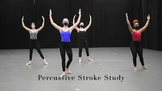 U of M/Percussive Stroke Study