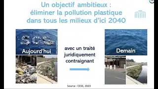 Webinaire Pollution plastique - Comité français de l'UICN le 8 juin 2023