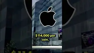 Bitcoin is More Undervalued Than You Think