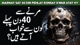 Marne Se 40 Din Pehle ka Khawab | Maut ki Nishani Kya Hai | Mout ki Alamat | AlHabib Islamic