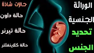 الوراثة الجنسية في الانسان 🧬 تحديد الجنس والحالات الجنسية الشاذة فى الانسان #احياء #وراثة