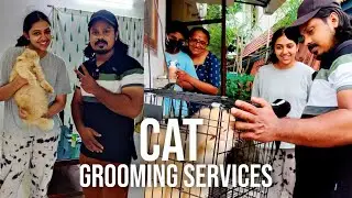 Cat Grooming Services....