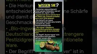 Die Wahrheit hinter &bdquo;Echter Ingwer&ldquo;: Das Etikett l&uuml;gt?
