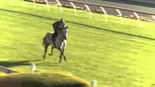 Sportingbet Manikato & Turnbull preview - Leon Corstens