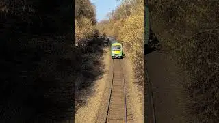 Southern Class 171/2 Turbostar 171201 amongst the hazel catkins north of Buxted on the Wealden Line