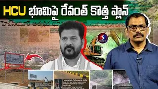 HCU Vs Revanth Reddy || Revanth Reddy New Plan On HCU Forest Land || Congress Govt || Signal TV