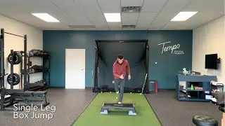 Single Leg Box Jump