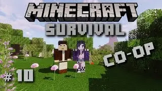 Minecraft Survival #10 Co-Op [mit EpisodeOneLP]