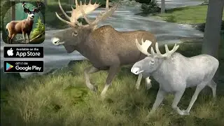 Animal Hunter: Wild Sniper - Tutorial - Gameplay Walkthrough Part 1 ( ANDROID / iOS )