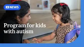 Thriving Kids program for children with autism yet to be designed | ABC NEWS