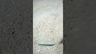 This Reverse video is so satisfying!! #MrReverse #short #shorts #shortvideos #Reverse #beads