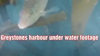 Underwater drone footage greystones Harbour
