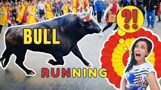 &iquest;Por qu&eacute; los espa&ntilde;oles corren con los toros? Carrera de los toros Toro Bravo 4K 60 fps Teruel Espa&ntilde;a