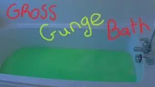 GROSS GUNGE BATH