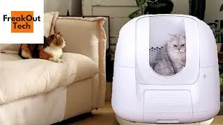 5 Amazing Cat Gadgets You Never Knew About