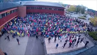 BlimE 2017 Høyeggen, Gimse og Brekkåsen Skole
