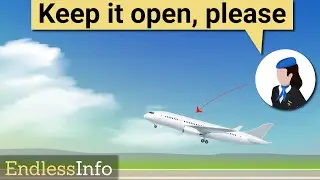 Why Do Crew Members Request Airplane Windows be Opened During Landing?