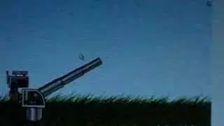 Kitten Cannon