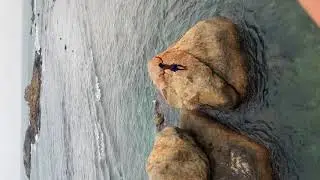 galle fort cliff diving , srilankan travel diaries