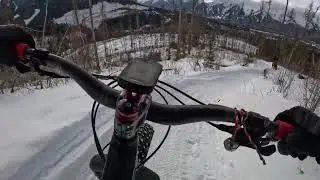 Eric's Trip plus Roxy Roller