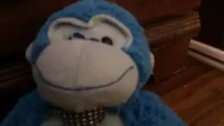 Monkey insurance company