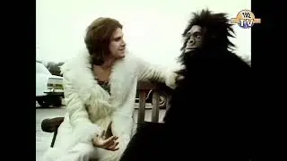 The Kinks - Apeman - AI RESTORED improved