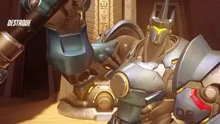 Overwatch bardinar