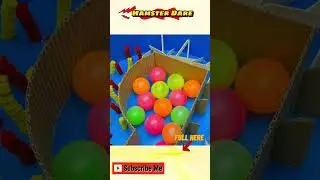 Hamster Dare  🐹 Hamster race overcome obstacles maze rainbow tower #hamsters #hamsterescape #pets