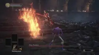 Consumables only Abyss Watchers