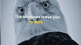sigma rule 🔥 the shadows leave you in dark 🔥#motivation #motivationalquotes