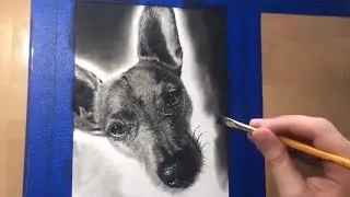 Realism Dog Drawing Time Lapse || Drawing with Charcoal, Graphite, Conte a Paris Pierre Noire