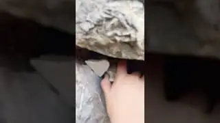 I found a cache