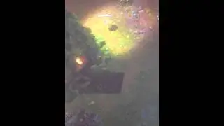 WTF IS THAT!?